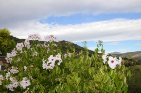 Fantastic Sardinia FBU-LUX02 Bilocale con vista mare a Budoni relax e natura